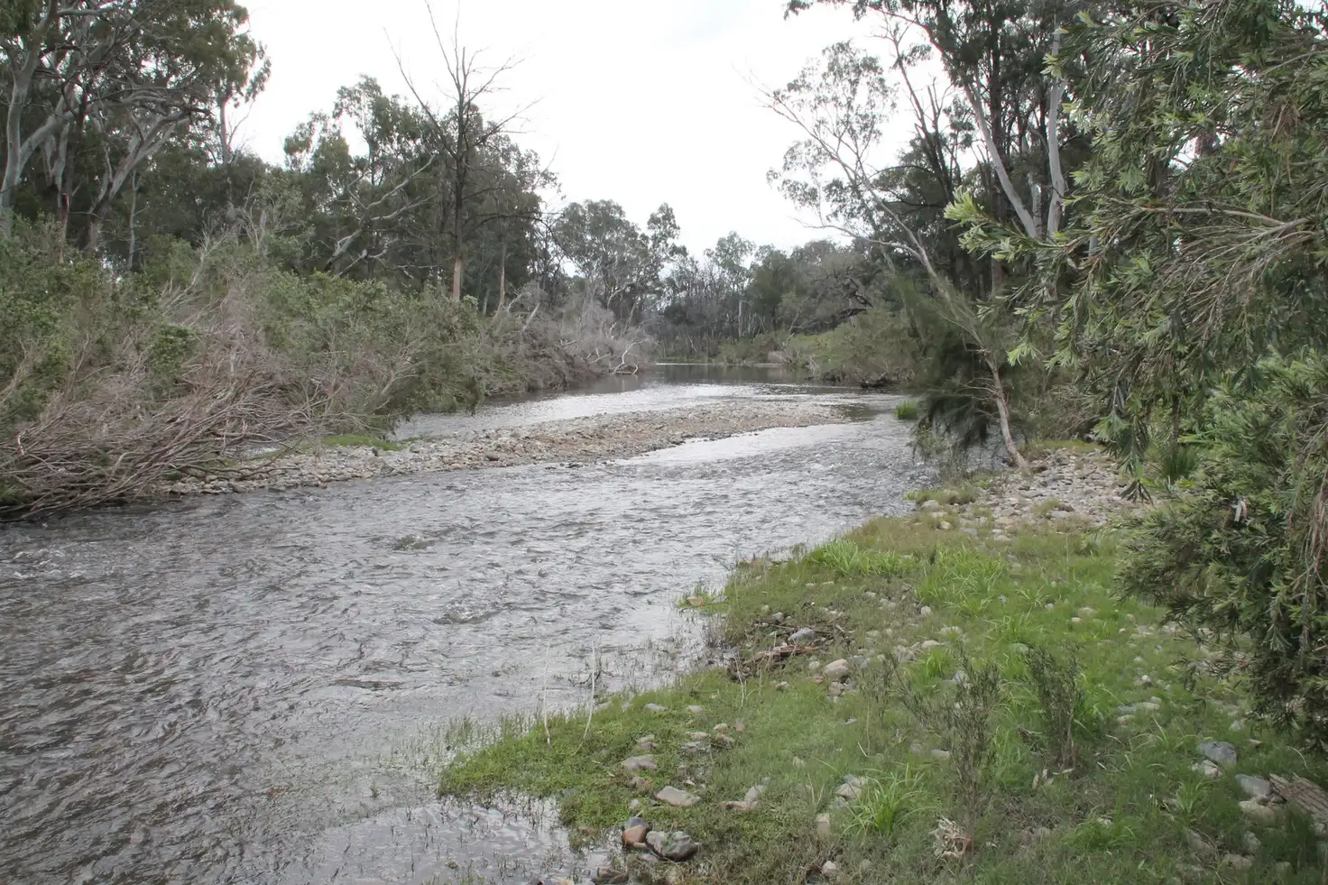 Main view of Homely rural property listing, Lots 19 & 20 Gibraltar Station Road, Tenterfield NSW 2372