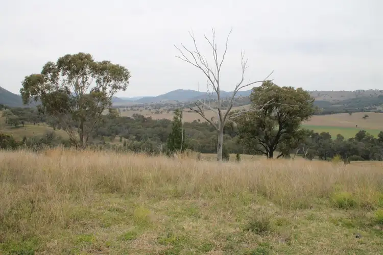 Fourth view of Homely rural property listing, Lots 19 & 20 Gibraltar Station Road, Tenterfield NSW 2372