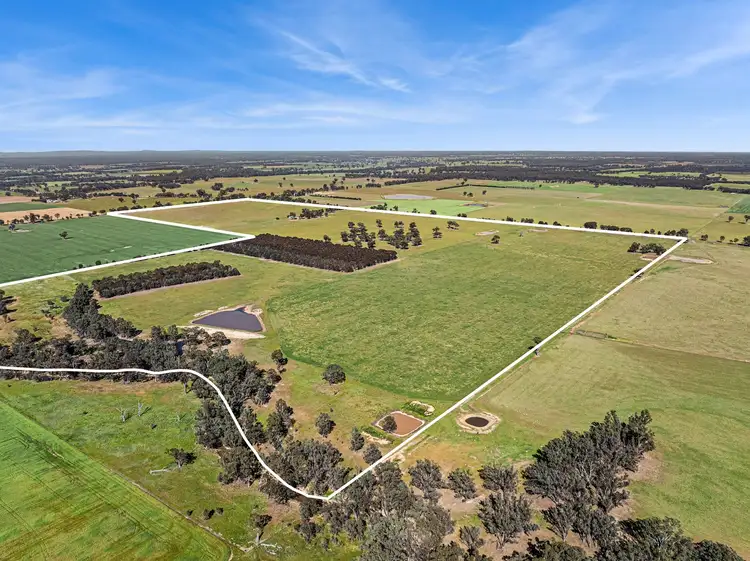 Main view of Homely rural property listing, Lot 1 Goornong - Mayreef Road, Goornong VIC 3557
