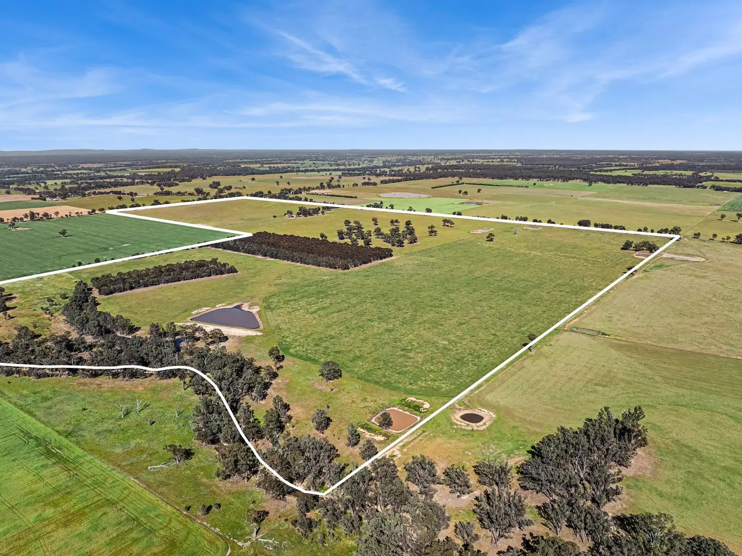Main view of Homely rural property listing, Lot 1 Goornong - Mayreef Road, Goornong VIC 3557