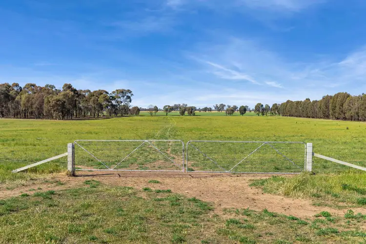 Second view of Homely rural property listing, Lot 1 Goornong - Mayreef Road, Goornong VIC 3557