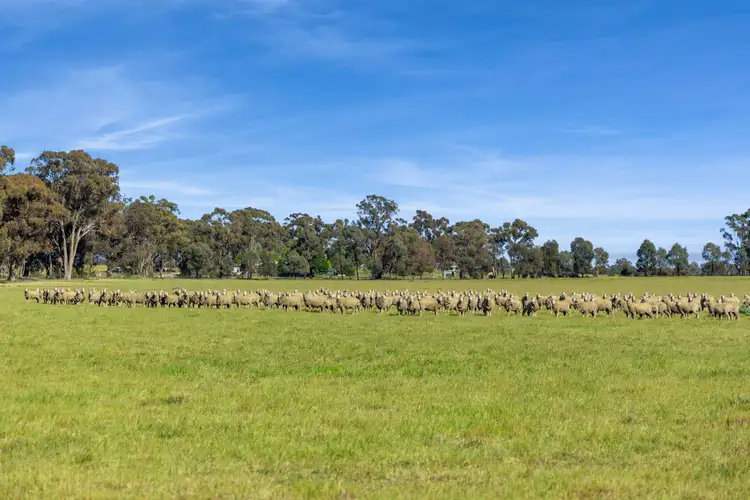 Third view of Homely rural property listing, Lot 1 Goornong - Mayreef Road, Goornong VIC 3557