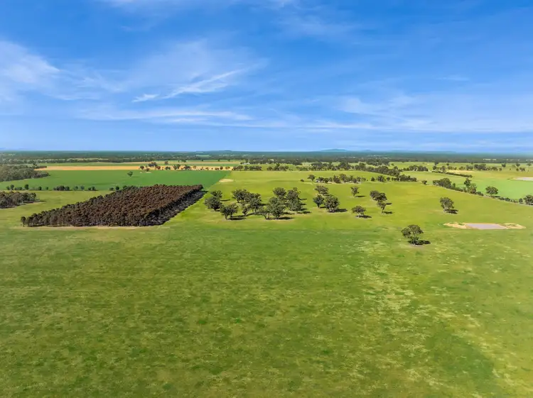 Fourth view of Homely rural property listing, Lot 1 Goornong - Mayreef Road, Goornong VIC 3557