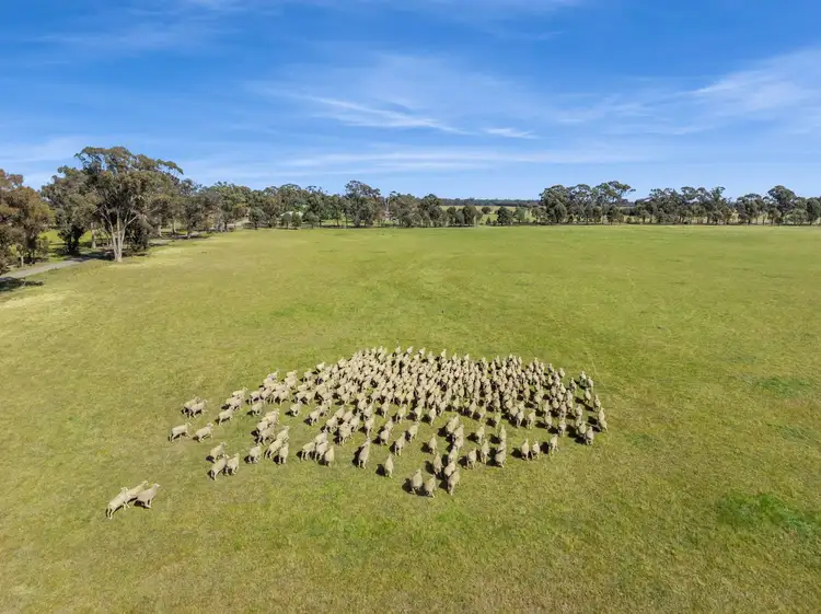 Fifth view of Homely rural property listing, Lot 1 Goornong - Mayreef Road, Goornong VIC 3557