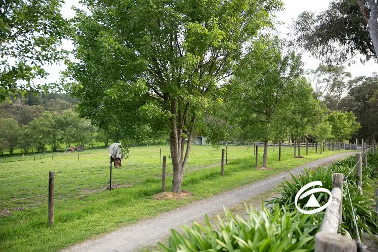 52 Patons Road, Macclesfield VIC 3782