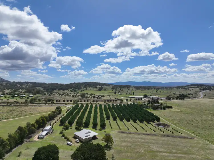 Main view of Homely house listing, 362 New England Highway, Tenterfield NSW 2372