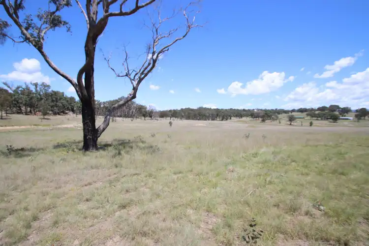 Main view of Homely rural property listing, 187 Roos Road, Tenterfield NSW 2372