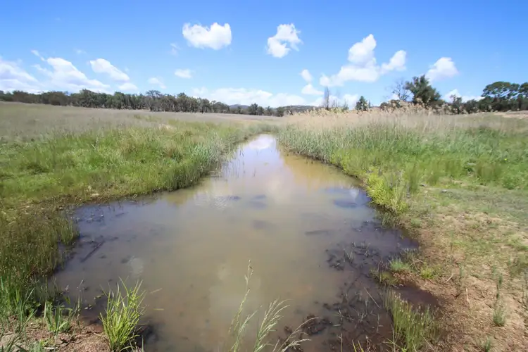 Third view of Homely rural property listing, 187 Roos Road, Tenterfield NSW 2372