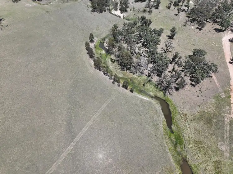 Sixth view of Homely rural property listing, 187 Roos Road, Tenterfield NSW 2372