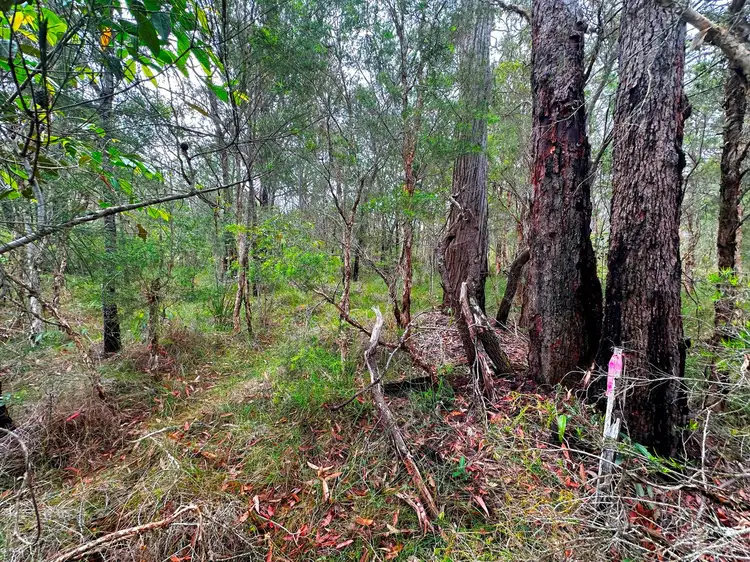 Fifth view of Homely land listing, Lot 2555 Market Way, North Arm Cove NSW 2324