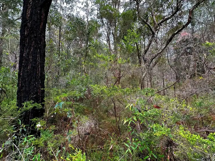 Fifth view of Homely land listing, Lot 108-109 Deepwater Road, North Arm Cove NSW 2324