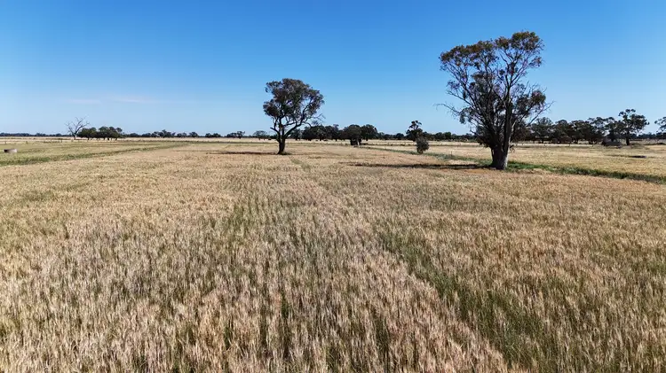 Main view of Homely rural property listing, 7172 Murray Valley Highway, Cullen VIC 3568