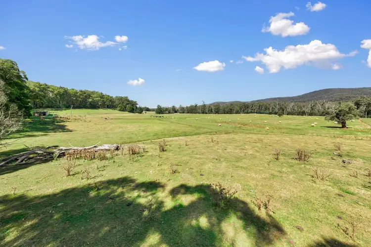 1200 Gembrook-Tonimbuk Road, Tonimbuk VIC 3815