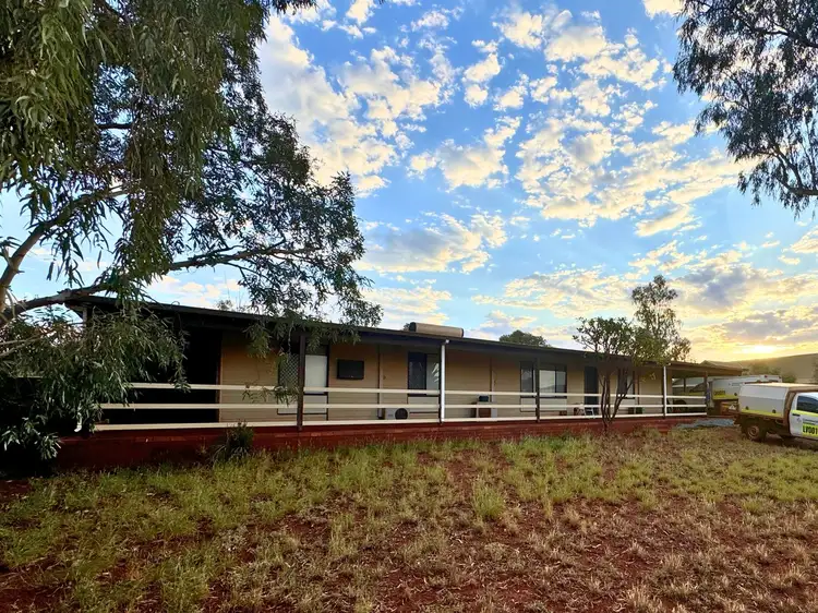 Main view of Homely house listing, 17 Kirrang Place, Newman WA 6753