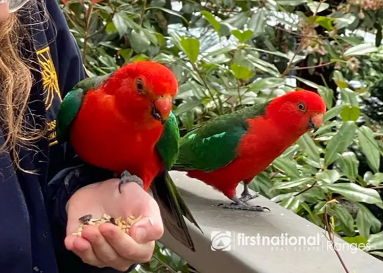 Fourth view of Homely house listing, 2 Colston Avenue, Sherbrooke VIC 3789