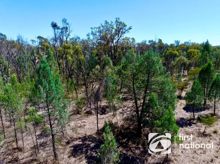 Fifth view of Homely rural property listing, Community Lane, Goranba QLD 4421