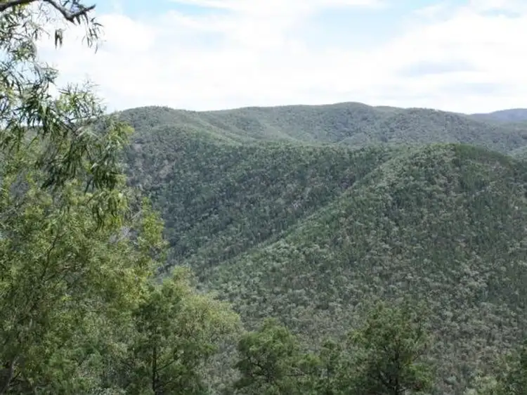 Lot 10 Mountain Creek, Tenterfield NSW 2372
