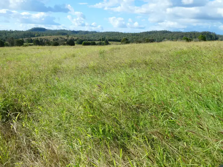 Fourth view of Homely rural property listing, 294 Binjour Branch Creek Road, Binjour QLD 4625