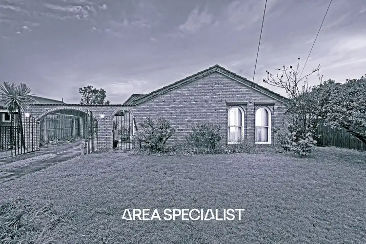 Main view of Homely house listing, 19 Nicholas Street, Keysborough VIC 3173