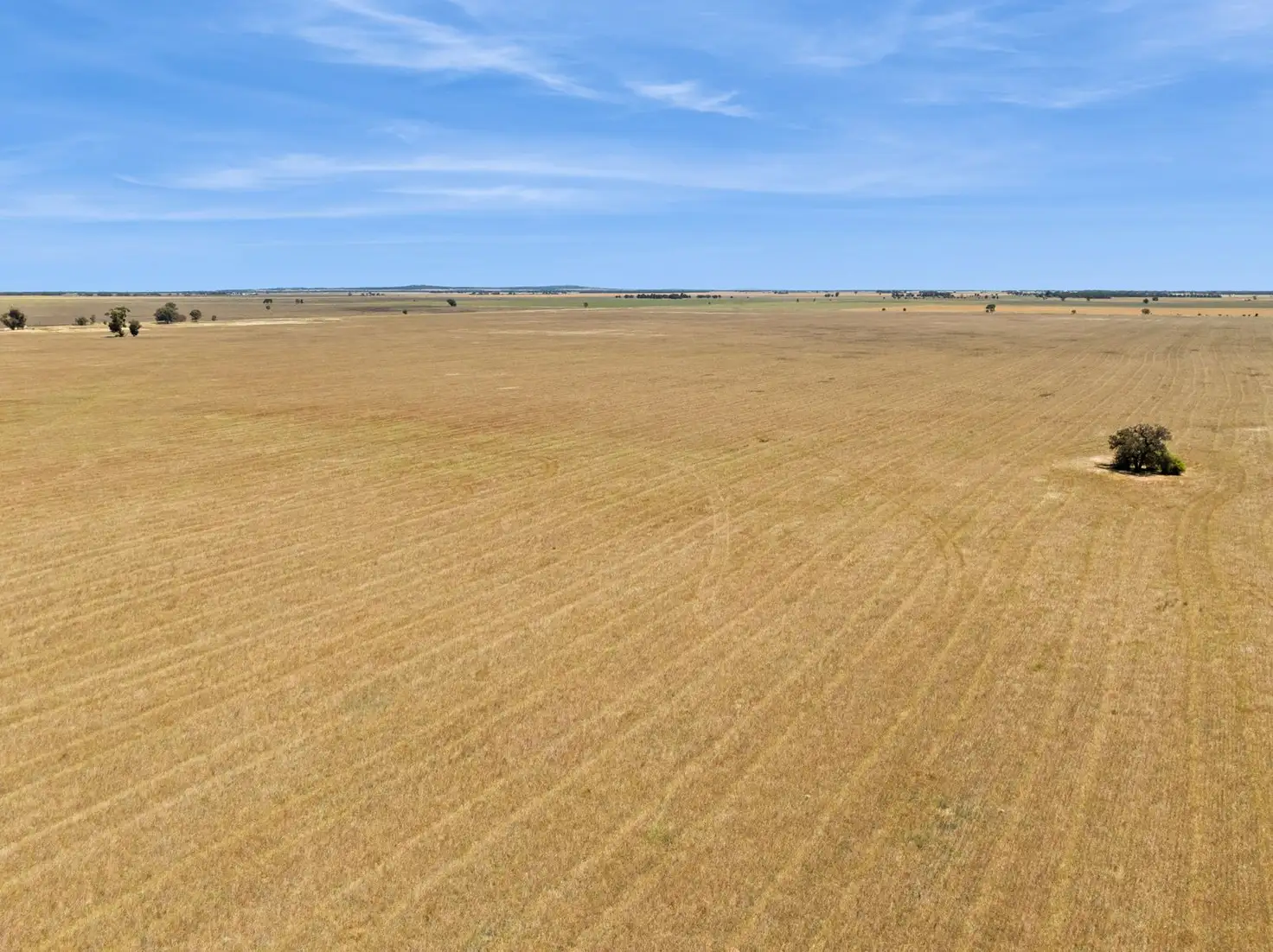 Main view of Homely rural property listing, "Gordons" Cnr Sims & Crossman Roads, Mitiamo VIC 3573