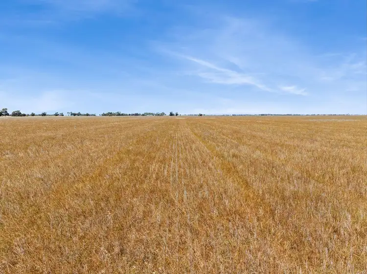 Second view of Homely rural property listing, "Gordons" Cnr Sims & Crossman Roads, Mitiamo VIC 3573