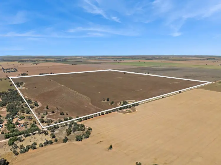 Third view of Homely rural property listing, "Gordons" Cnr Sims & Crossman Roads, Mitiamo VIC 3573