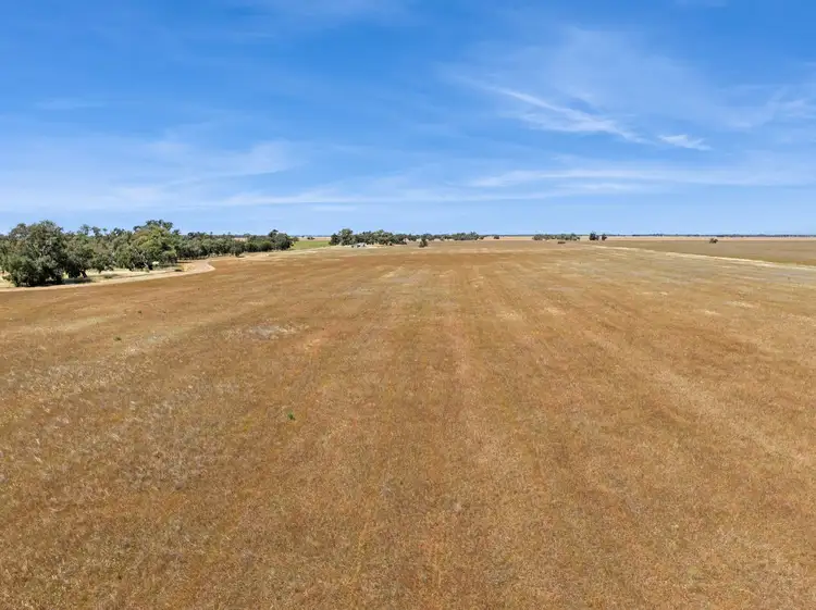 Sixth view of Homely rural property listing, "Gordons" Cnr Sims & Crossman Roads, Mitiamo VIC 3573