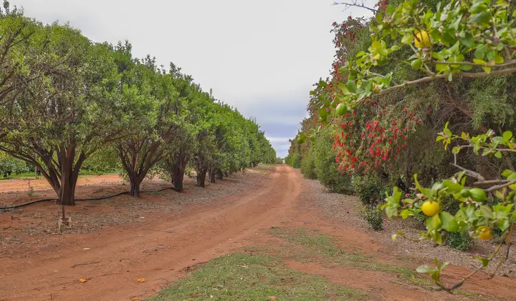 Fifth view of Homely house listing, 59 Arumpo Road, Mourquong NSW 2739