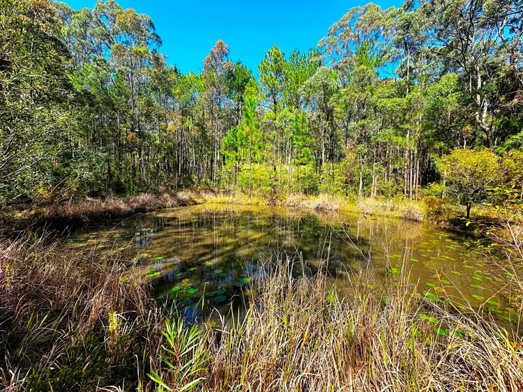 Sixth view of Homely land listing, 88 Clarke Street, Pindimar NSW 2324