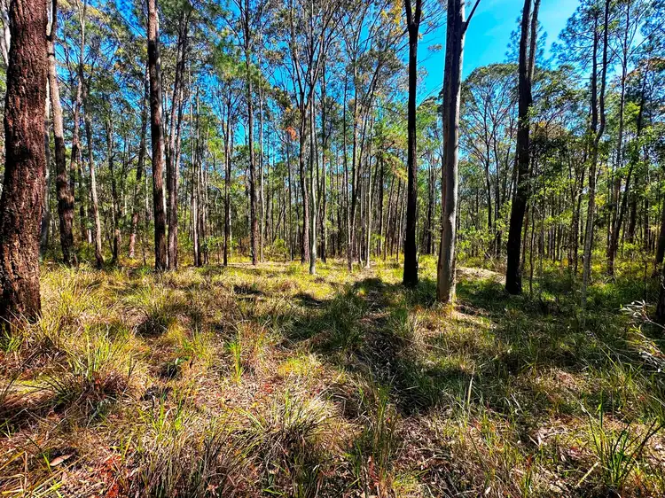 Seventh view of Homely land listing, 88 Clarke Street, Pindimar NSW 2324