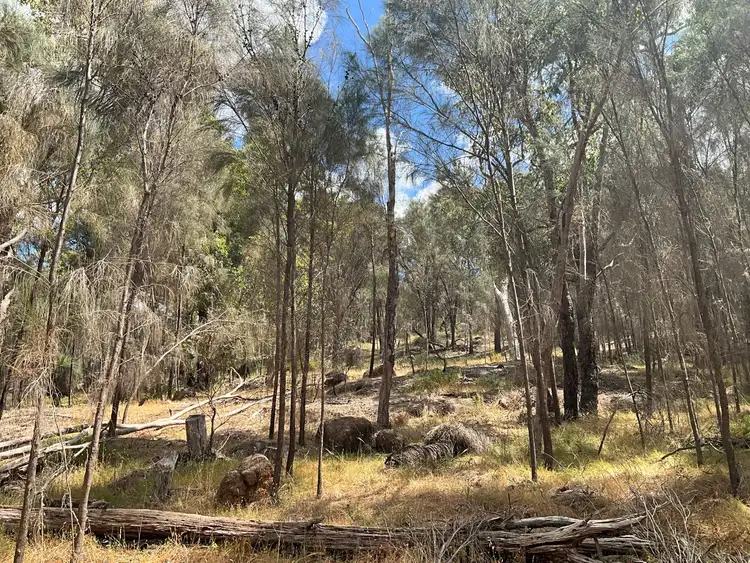 Seventh view of Homely land listing, LOT Lot, 102 O'Connell Road, Wandering WA 6308