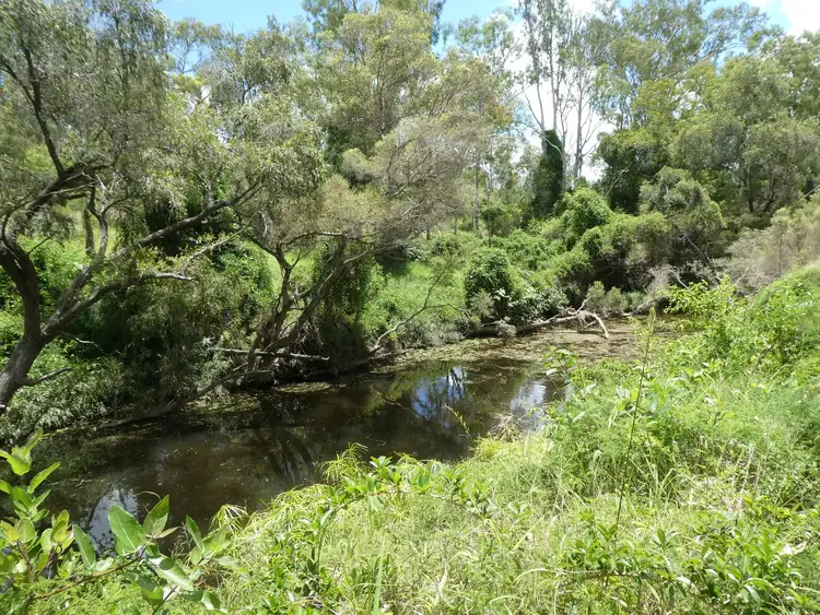 Second view of Homely rural property listing, NRN Isis Highway, Dallarnil QLD 4621