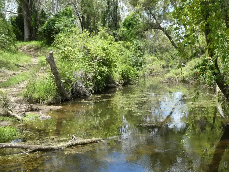 Fourth view of Homely rural property listing, 8263 Isis Highway, Dallarnil QLD 4621