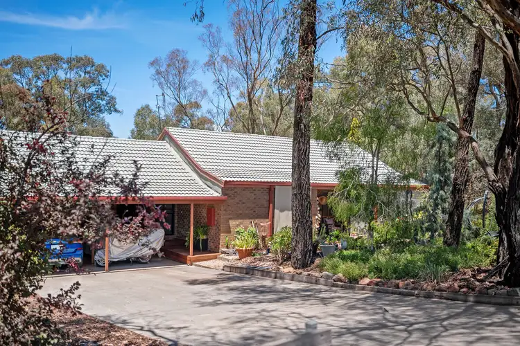 8/6 Gordon Street, Spring Gully VIC 3550
