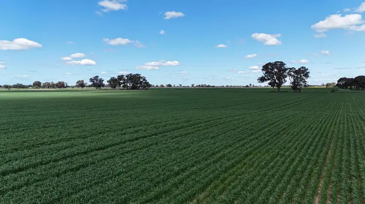 332 Grahams Road, Wunghnu VIC 3635
