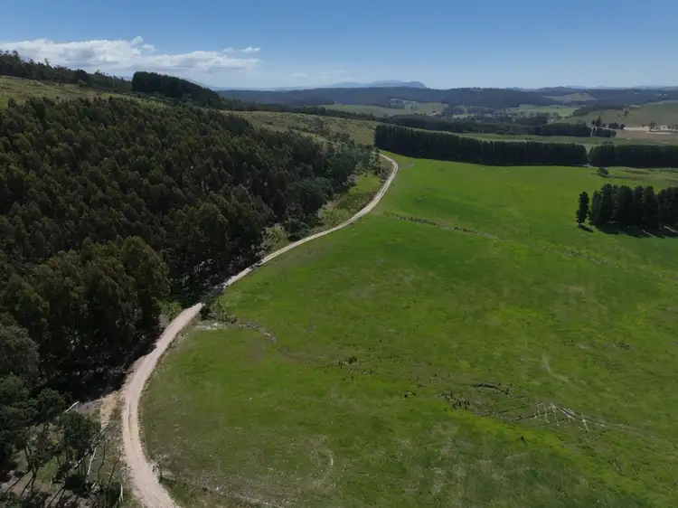 Main view of Homely rural property listing, 170 Wandilla Road, Quamby Brook TAS 7304