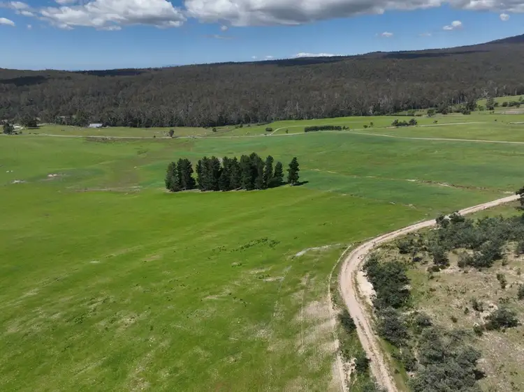 Fifth view of Homely rural property listing, 170 Wandilla Road, Quamby Brook TAS 7304