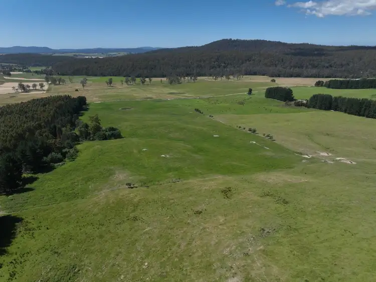 Seventh view of Homely rural property listing, 170 Wandilla Road, Quamby Brook TAS 7304