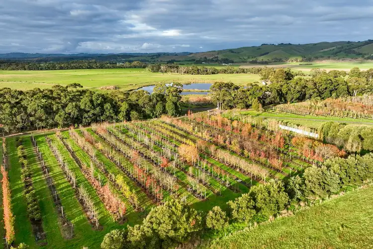 Fourth view of Homely rural property listing, 347 McKenzie Road, Glen Forbes VIC 3990