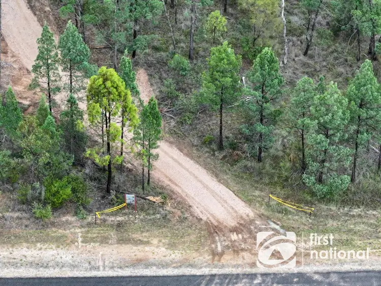 Seventh view of Homely rural property listing, Auburn Road, Blackswamp QLD 4413