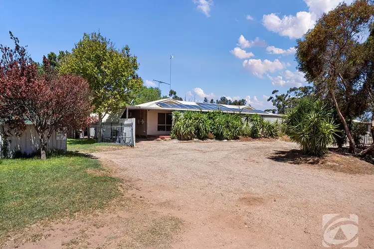 Main view of Homely house listing, 31 Melvin Terrace, Via Pinery, Balaklava SA 5461