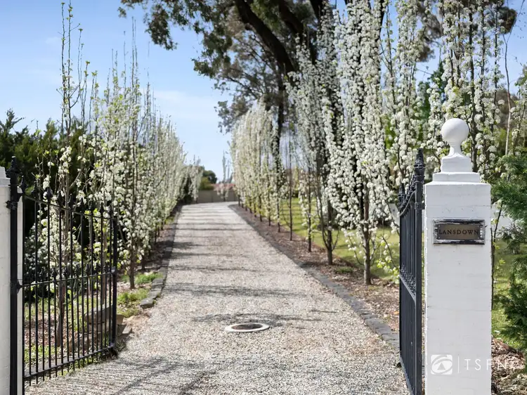 98 Lowndes Street, Kennington VIC 3550