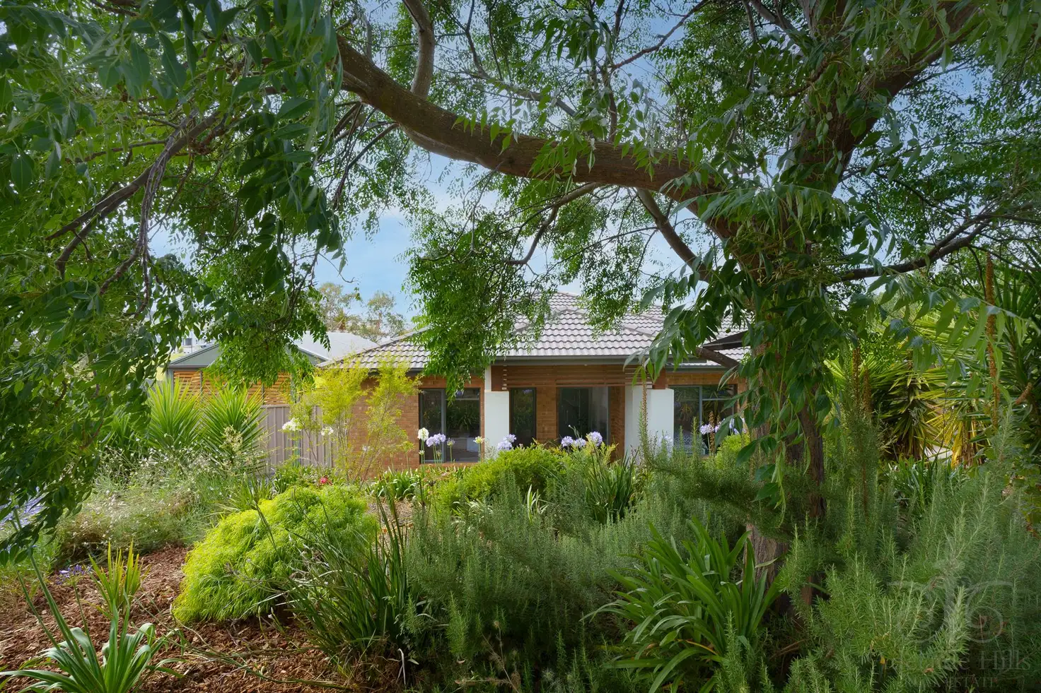 Main view of Homely house listing, 16 Galloway Court, Mount Barker SA 5251