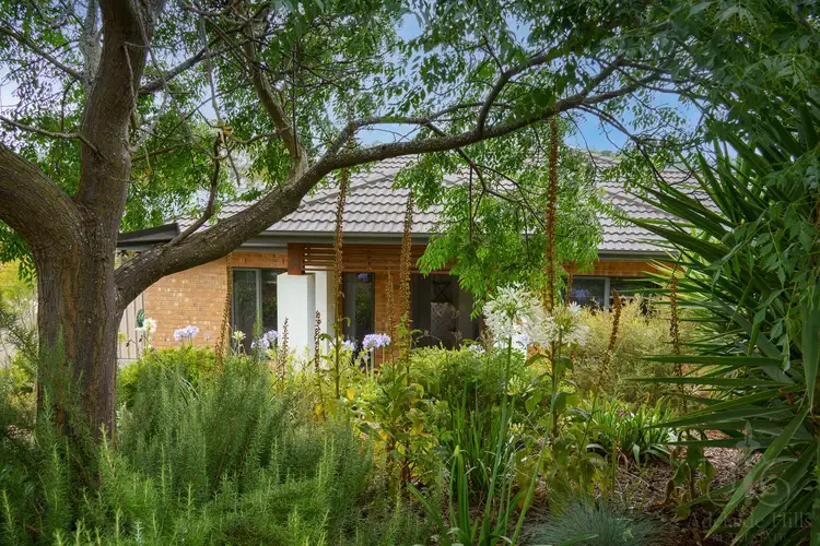 Second view of Homely house listing, 16 Galloway Court, Mount Barker SA 5251