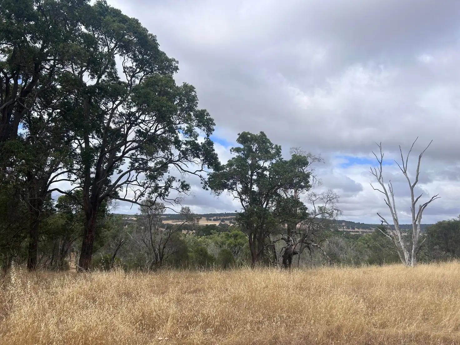 Main view of Homely land listing, LOT Lot, 62 Crossman Road, Boddington WA 6390