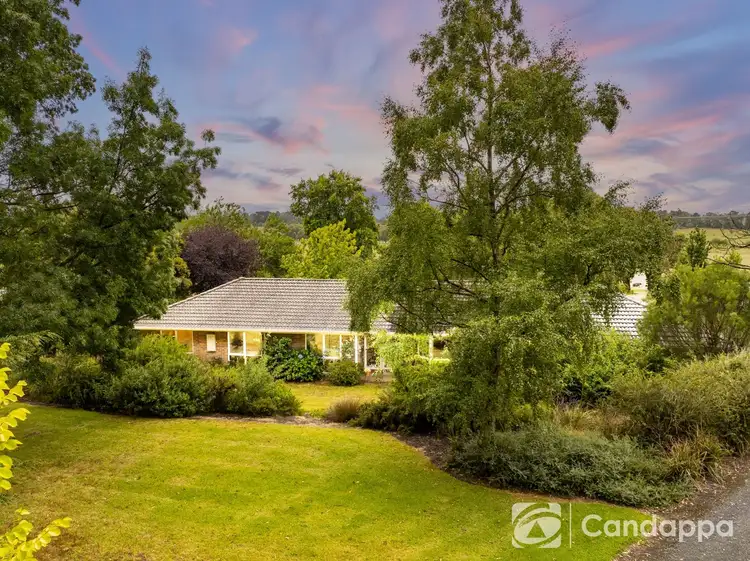 Third view of Homely house listing, 38 Thompson Road, Drouin South VIC 3818