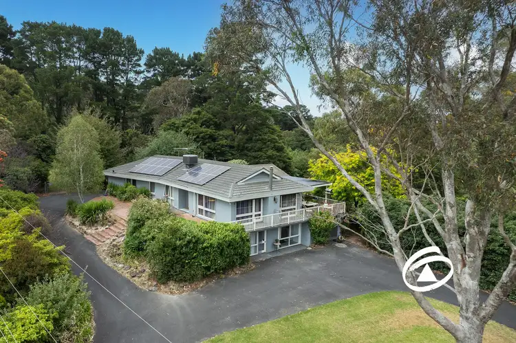 98 Payne Road