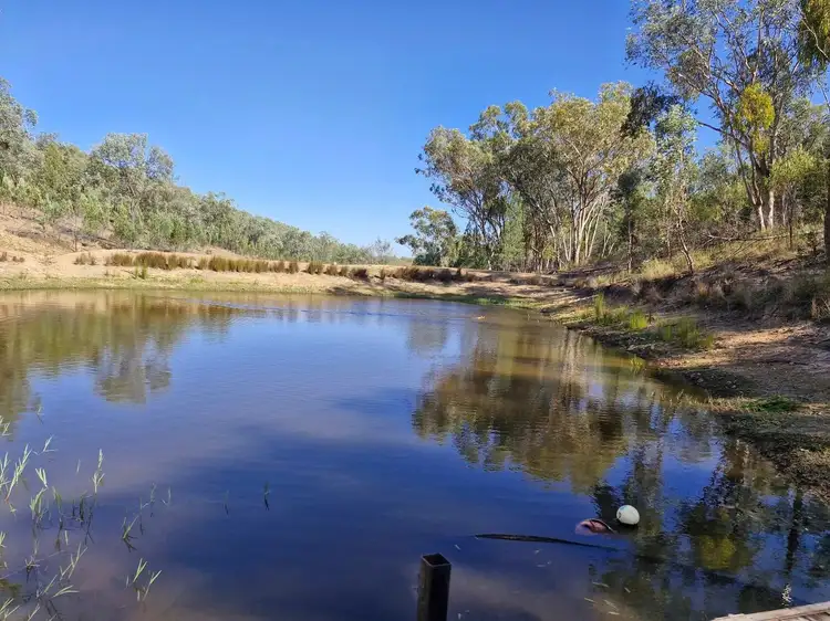 Main view of Homely rural property listing, Lot 85 Springfield Road, Mole River NSW 2372