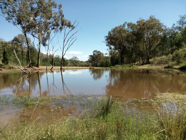 Third view of Homely rural property listing, Lot 85 Springfield Road, Mole River NSW 2372