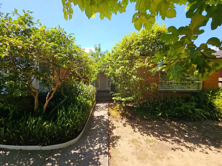 Fifth view of Homely house listing, 21 Lorikeet Street, Nunawading VIC 3131